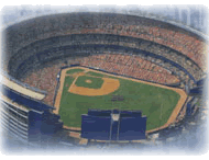 Shea Stadium